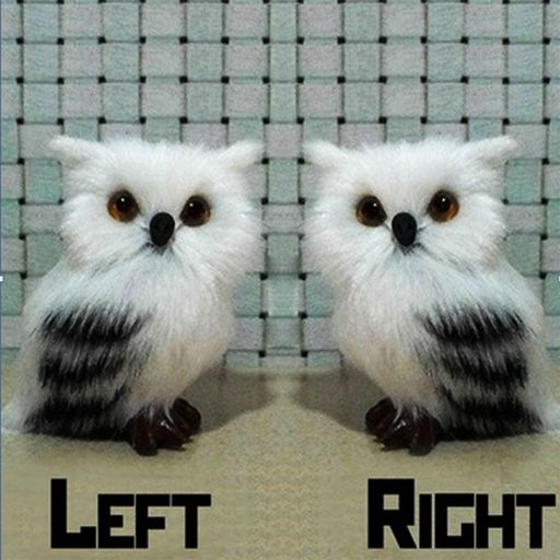 Creative Cute Owl Pl...