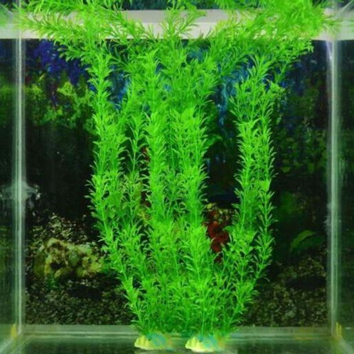 Plastic Aquarium Fis...