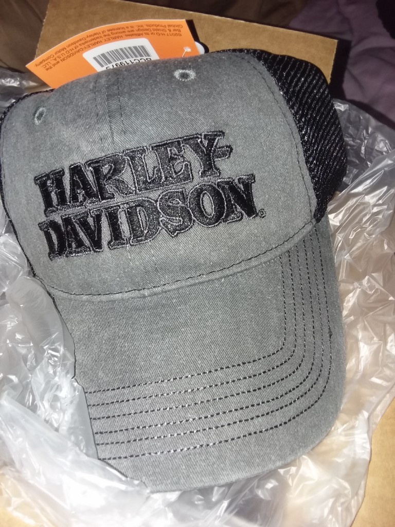 Harley-Davidson Mens Embroidered Skull & H-D Text Mesh Trucker Cap BCC119975