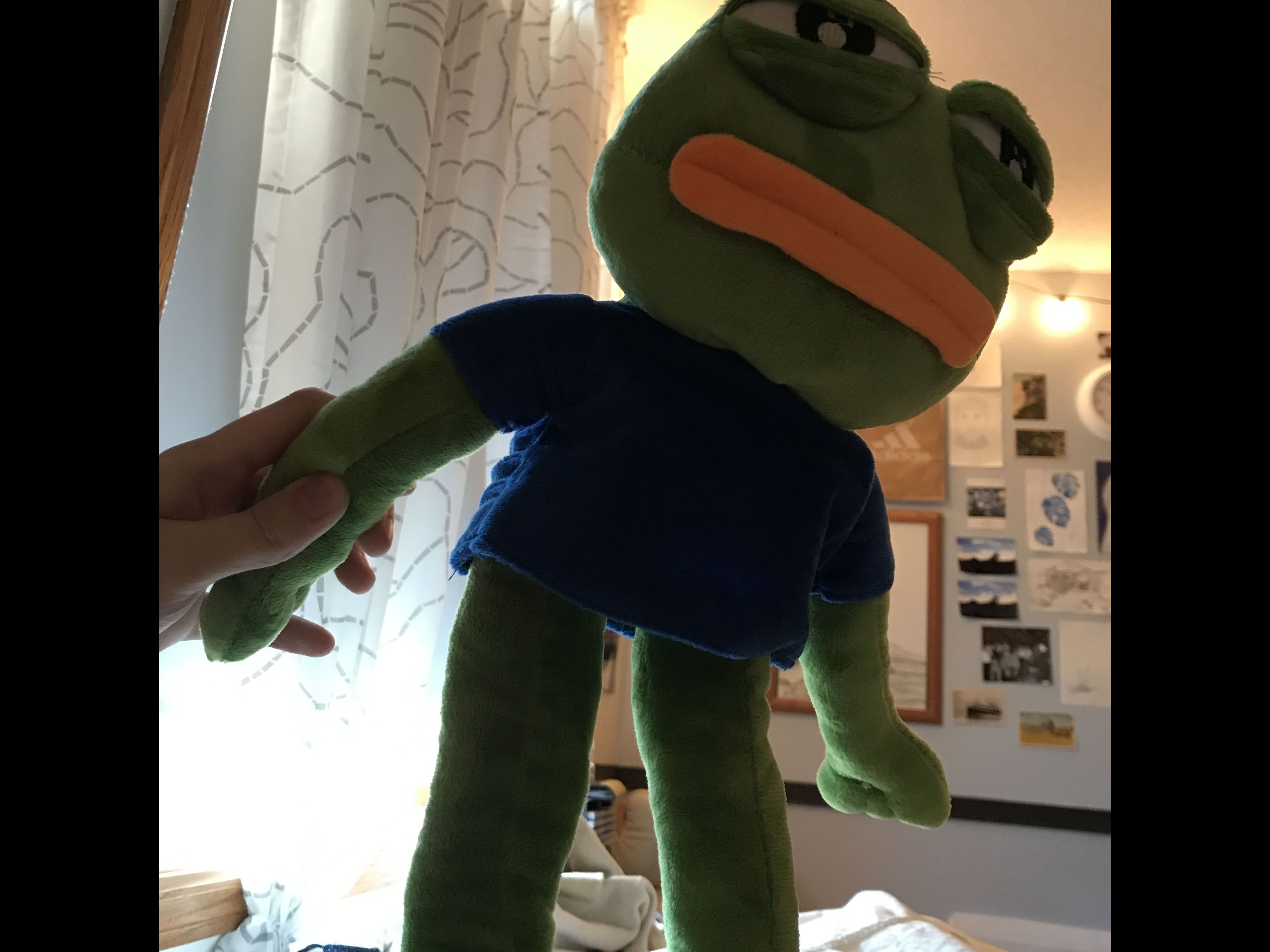 18'' Pepe The Frog Sad Frog Plush 4chan Kekistan Meme Doll Stuffed Toy