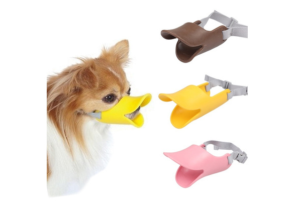 chihuahua duck muzzle