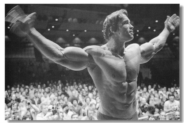 Arnold Schwarzenegger Movie Wall Silk Poster 24X36 inch Big Prints Boy