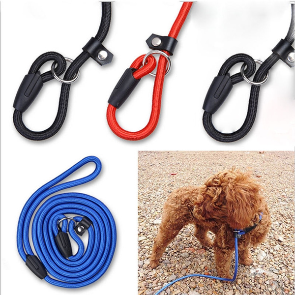 nylon slip leads for dogs