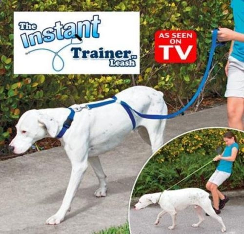 instant trainer
