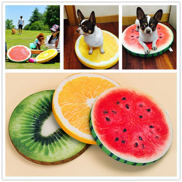 watermelon dog bed