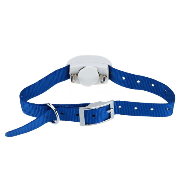 pets manager digital invisible fence