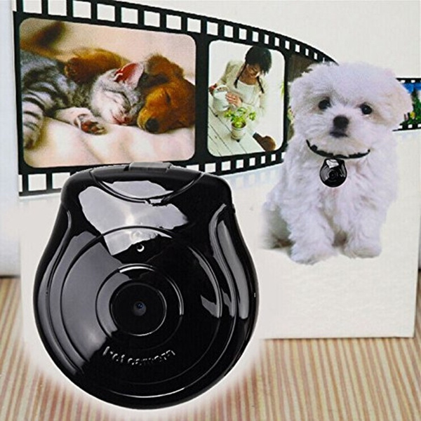 Digital Pet Collar Cam Camera DVR Video Recorder Monitor for Dog Cat Puppy Black