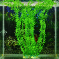 aquariumdecor, Plants, Tank, fish