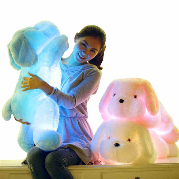 light up cuddly toy