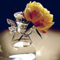 thumbnail - 1