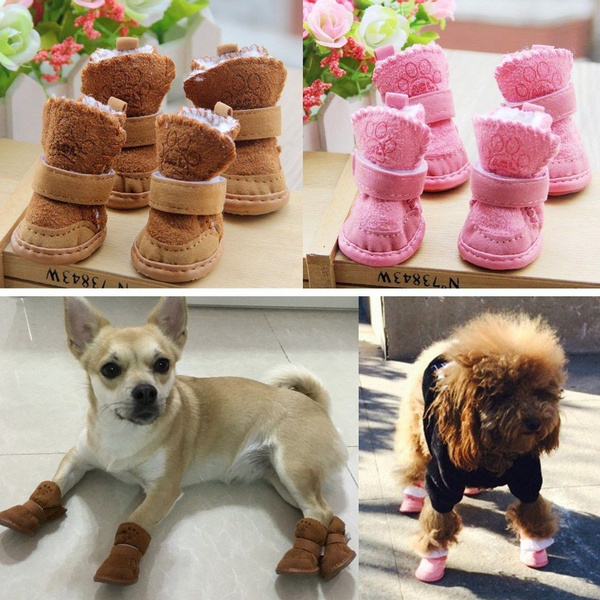 Fashion on sale pet boots