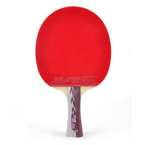 dhs table tennis paddle