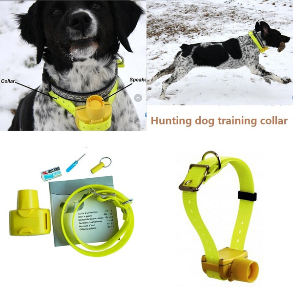 dog training beeper