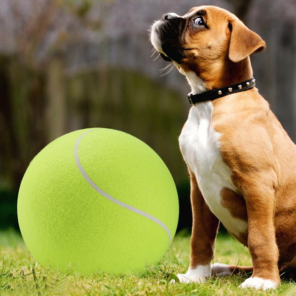 giant tennis ball for dogs