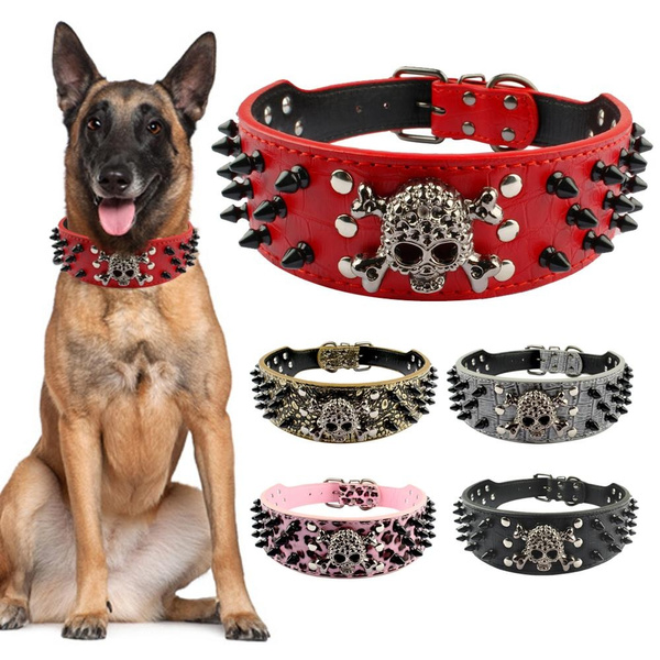 Cool dog leads and on sale collars