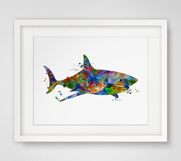 sharkwatercolor, painting, art, watercolorshark