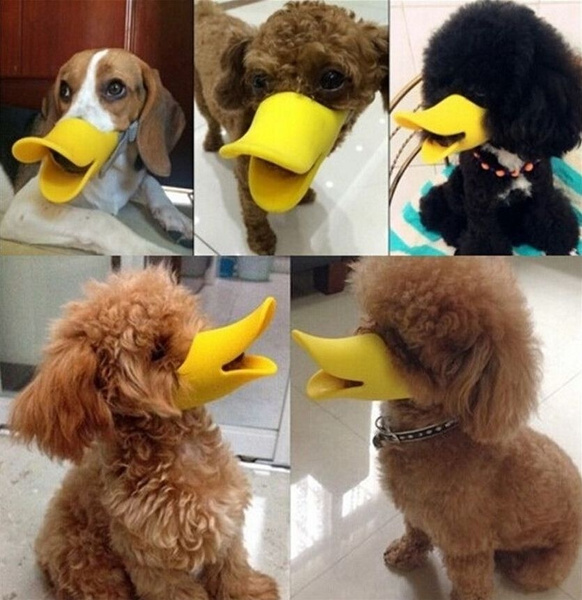 Dog muzzle shop duck face