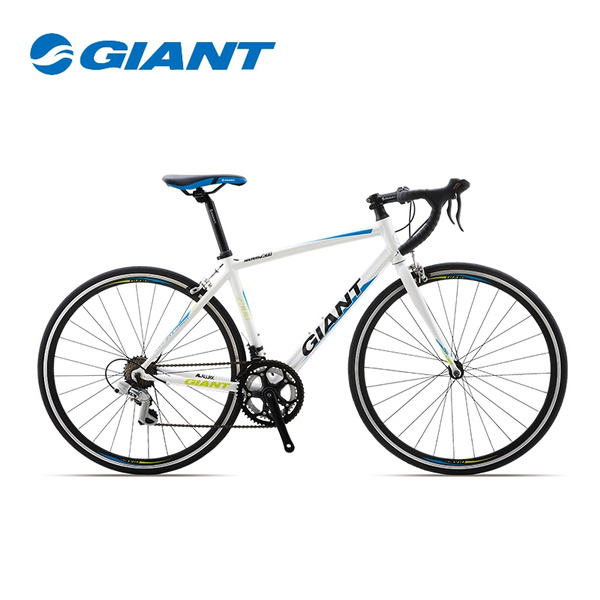 the giant bike