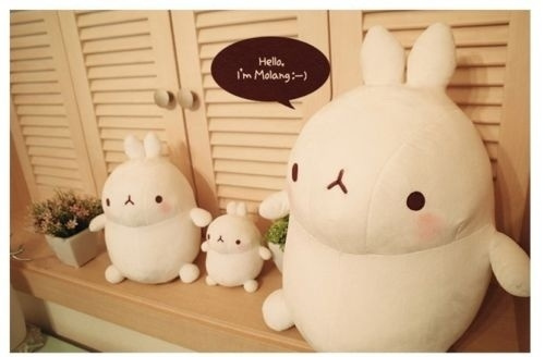 molang bunny plush