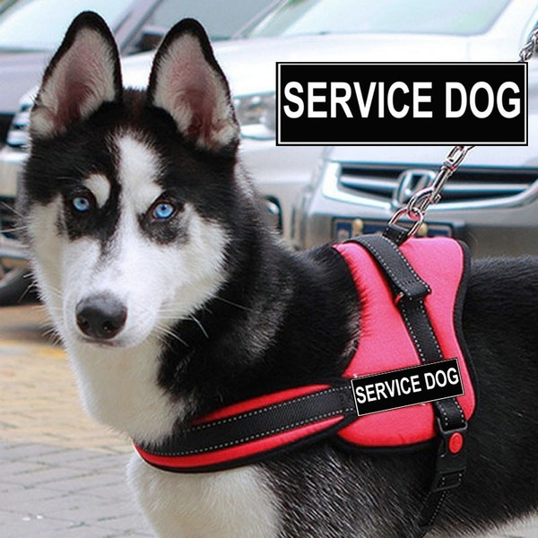 Velcro service 2025 dog vest