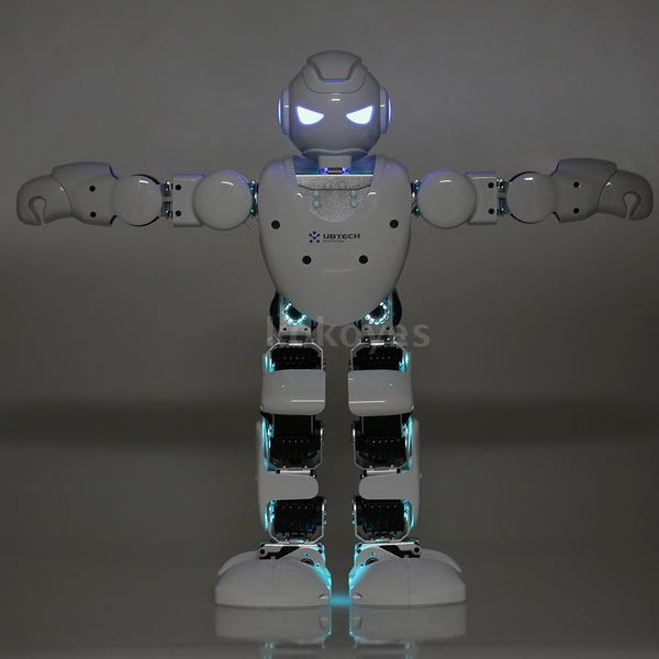 Ubtech alpha 1s hot sale intelligent humanoid robotic