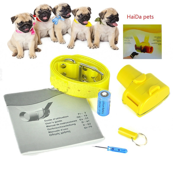 Hunting dog training clearance supplies