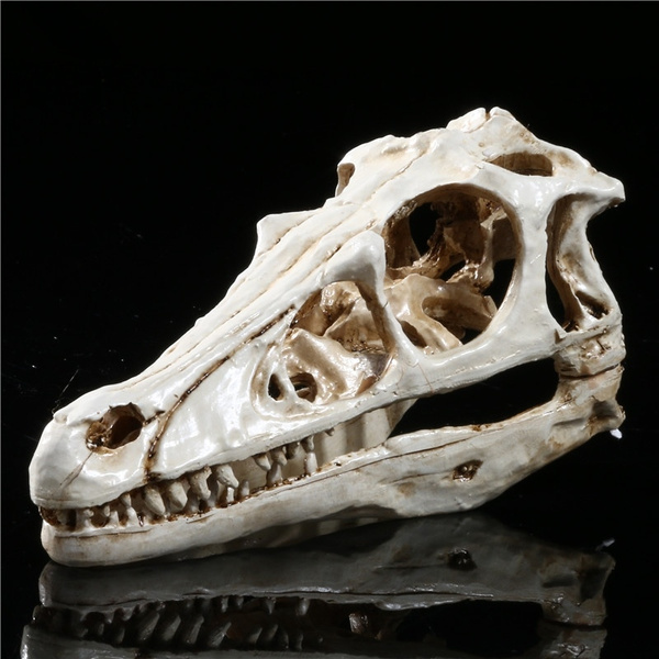 Resin Hadrosaurs Skull Medical Sketch Model Replica Animal Bones Party  Decor Collection | Wish