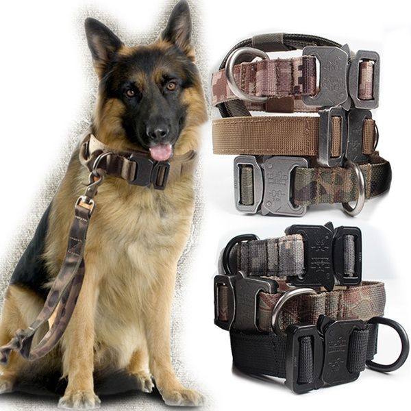 3544CM Outdoor Millitary Style Camo Tactical Dog Nylon Collar Width 1