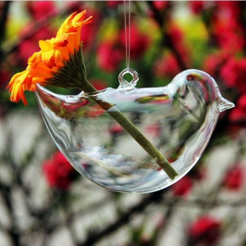 water, hangingflowerpot, Flowers, Home Decor