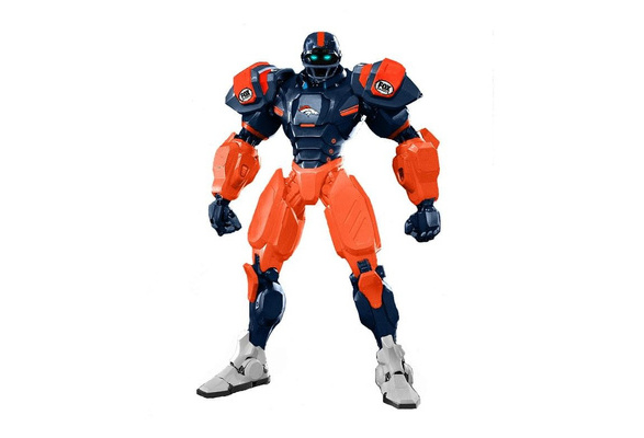 NFL Denver Broncos 10
