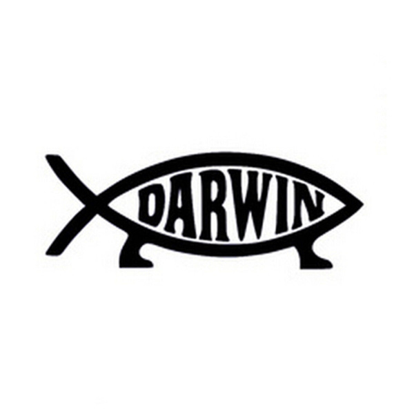2Pcs Black Darwin Evolution Walking Fish Funny Car Sticker For Truck Window  Door Laptop | Wish