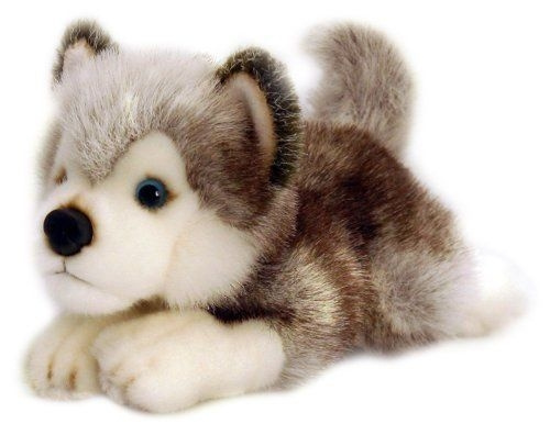 Keel Toys Soft Toy Cuddly  'Storm Husky' Puppy Dog 35cm, 