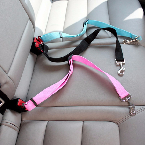car safety harness