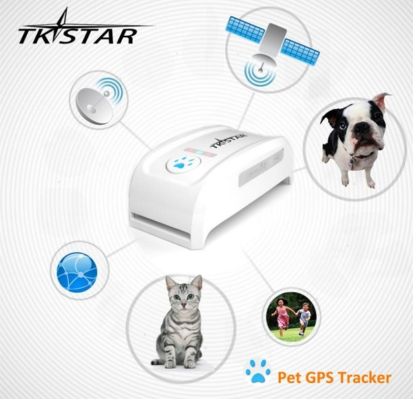 small pet tracker