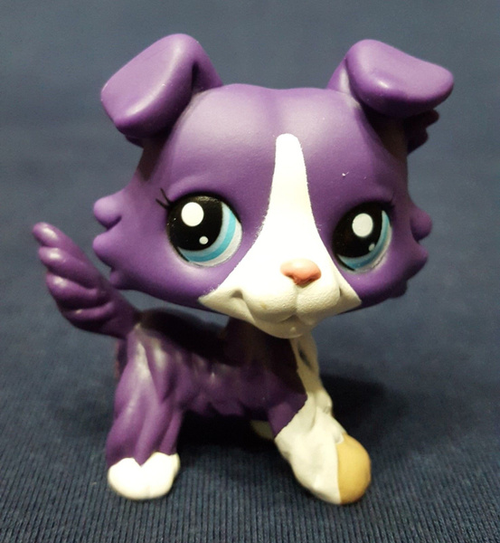 Lps cheap purple collie