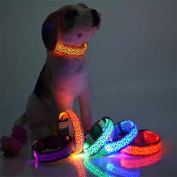 light up dog lead