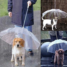 transparentumbrella, Umbrella, rainsleet, Waterproof