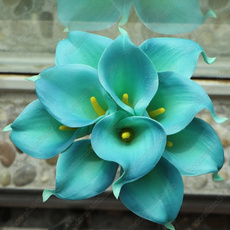 realtouchcallalily, Green, Teal, tealcallalily