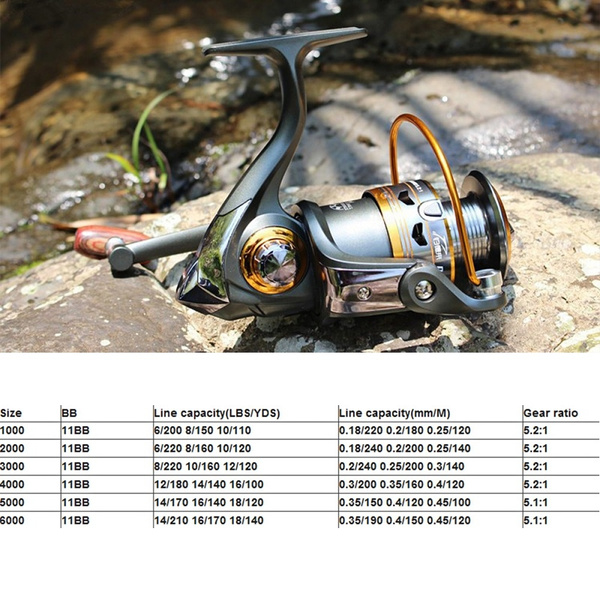 Metal Spool 11BB German Technology DK1000 - 6000 Series Spinning Reel  Discount Hot Sale for Simano Feeder Fishing Reel