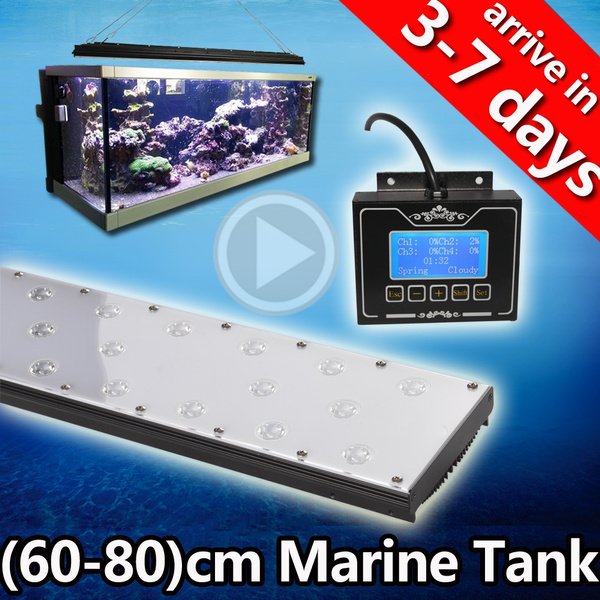 Dsuny fashion led aquarium light