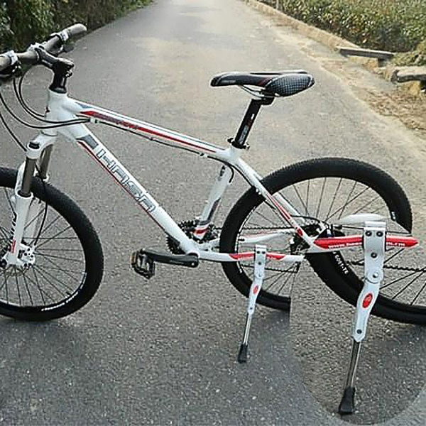 portable kickstand for road bike