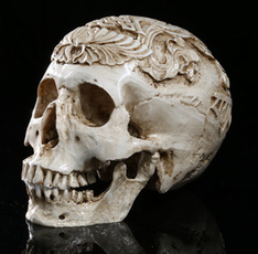11realisticlifesize, skull, collectable, Medical