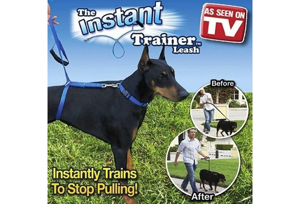instant trainer dog leash