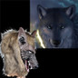 thumbnail - 3