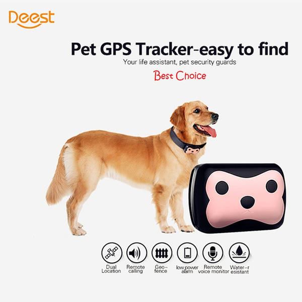real time pet tracker