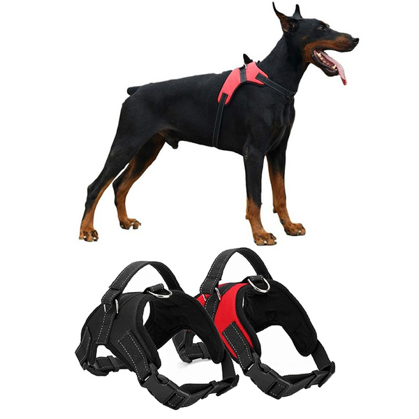 Wish 2025 dog harness