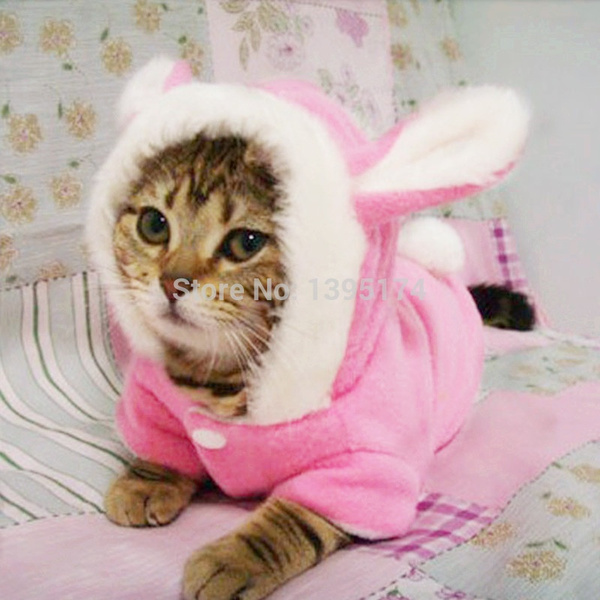 Cat dressed hotsell as bunny