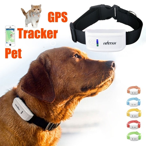 Tkstar dog clearance tracker