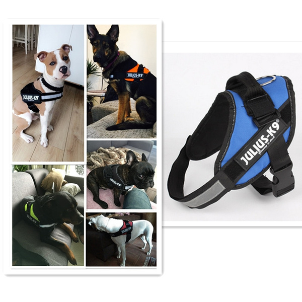 julius k9 chest strap