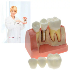 dentallab, teethmodel, dentalteethmodel, crown